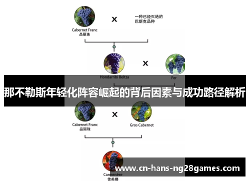 那不勒斯年轻化阵容崛起的背后因素与成功路径解析
