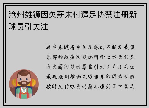 沧州雄狮因欠薪未付遭足协禁注册新球员引关注 沧州雄狮因欠薪未付遭足协禁注册新球员引关注